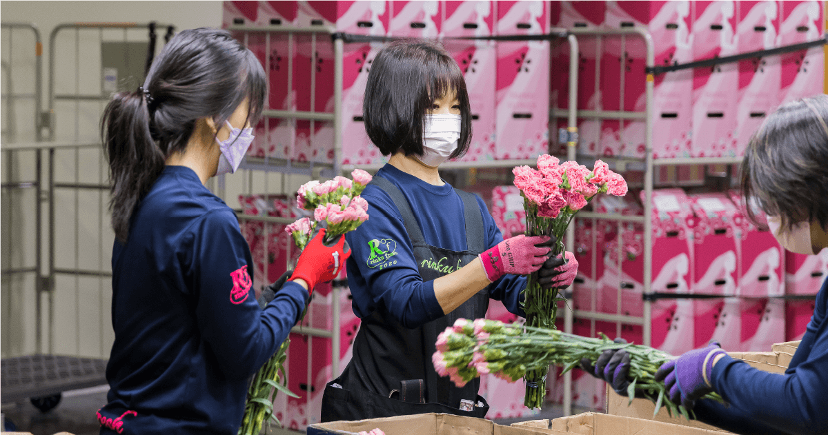 花卉の検品の様子